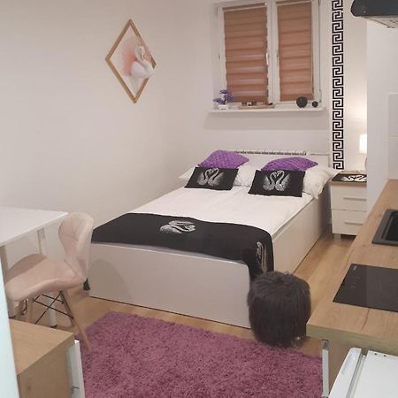 Apartamenty Centrum Panoramiczna Mala Dwojka Swan Labedz Promenada Klimatyzacja Lodowa 키엘체 외부 사진