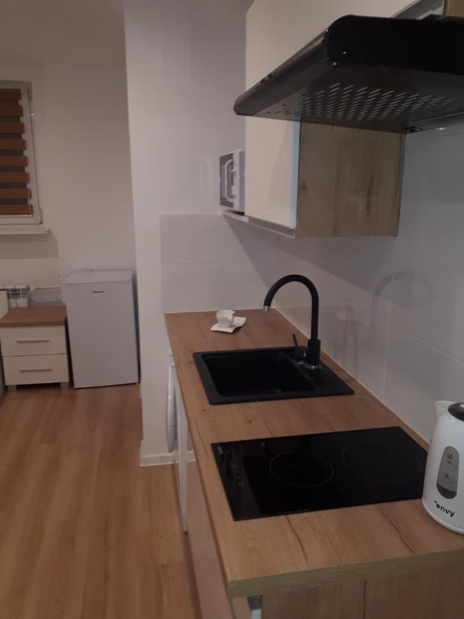 Apartamenty Centrum Panoramiczna Mala Dwojka Swan Labedz Promenada Klimatyzacja Lodowa 키엘체 외부 사진